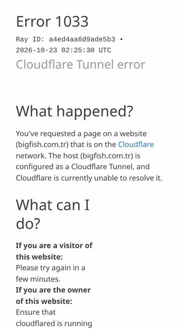 Screenshot of bigfish.com.tr