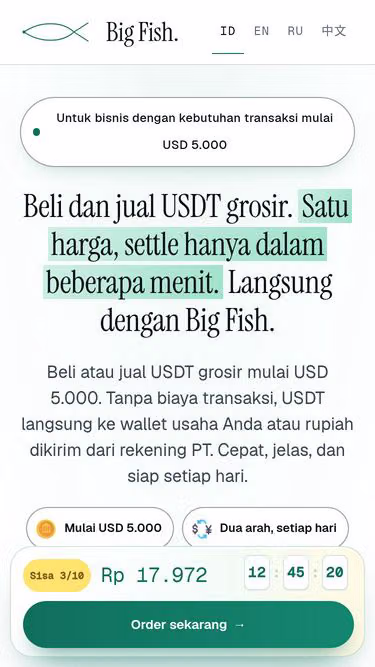 Screenshot of bigfish.sh