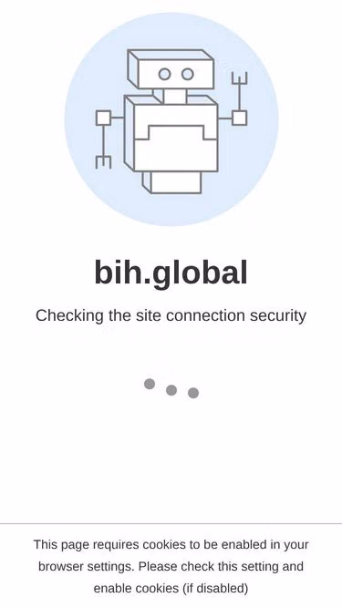 Screenshot of bih.global
