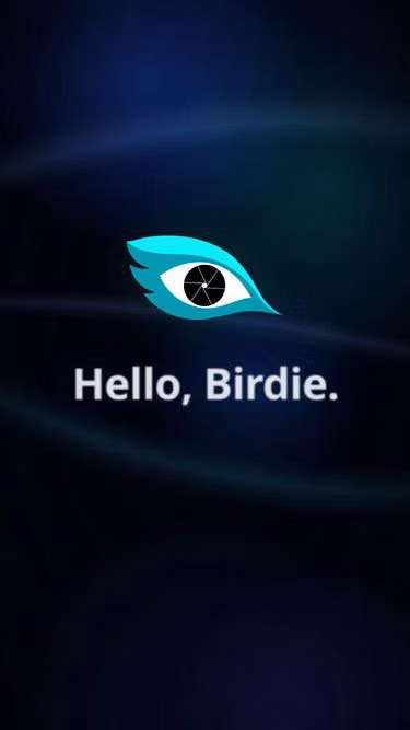 Screenshot of birdie.photo