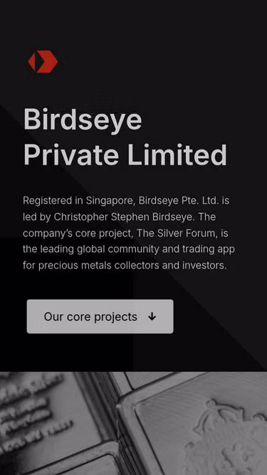 Screenshot of birdseye.ltd
