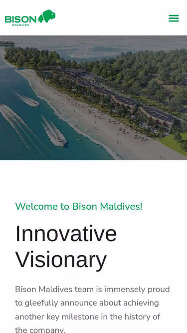 Screenshot of bison.com.mv