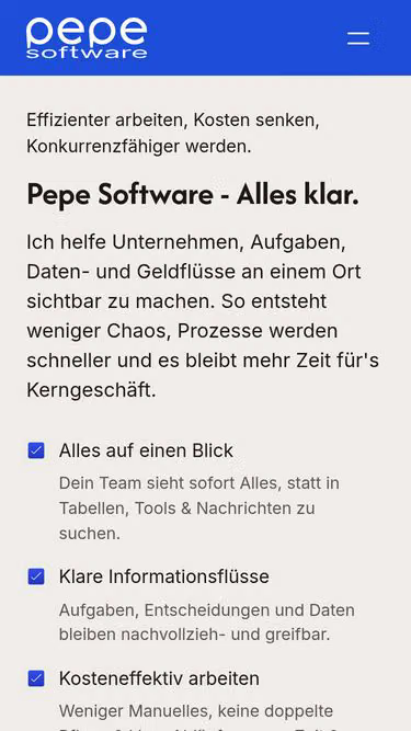 Screenshot of bizops.info