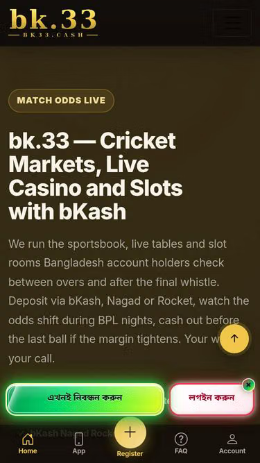 Screenshot of bk33.cash