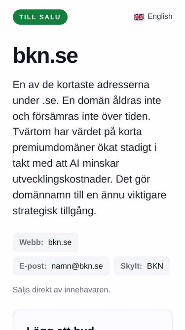 Screenshot of bkn.se