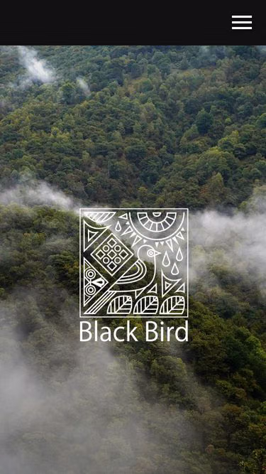 Screenshot of blackbird.com.ua