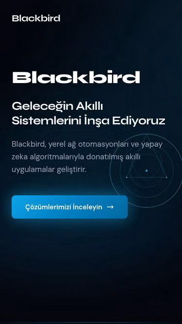 Screenshot of blackbird.net.tr