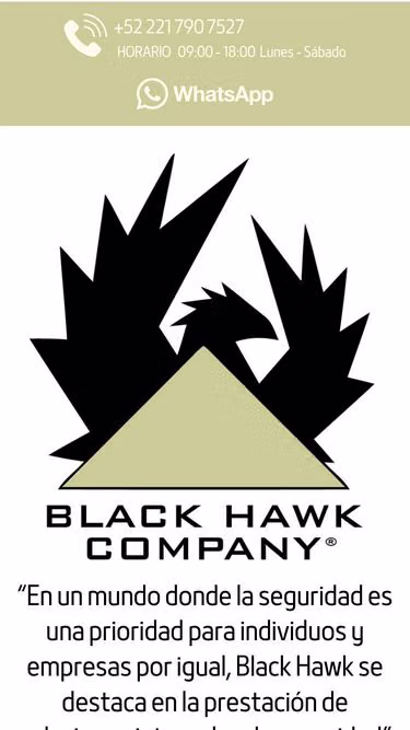 Screenshot of blackhawk.company