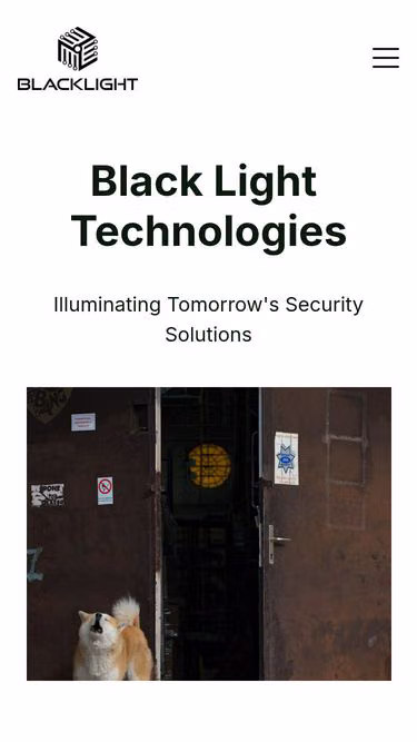 Screenshot of blacklight.consulting