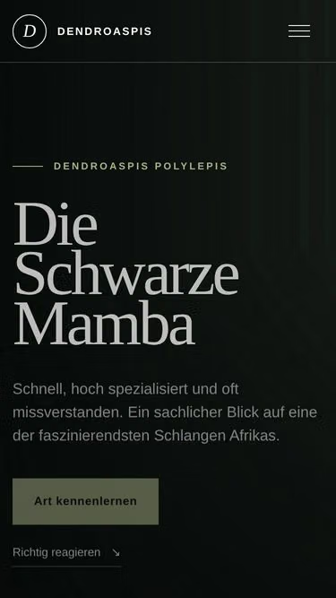 Screenshot of blackmamba.ch