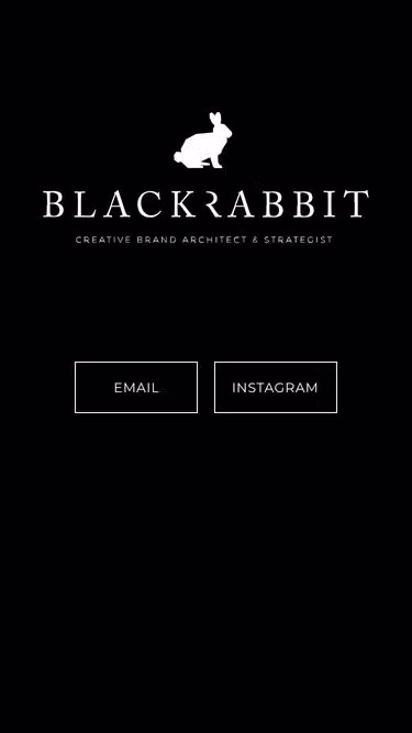 Screenshot of blackrabbit.co.za