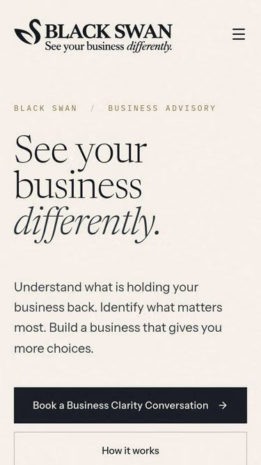 Screenshot of blackswan.co.za