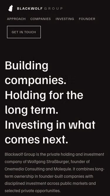 Screenshot of blackwolf.holdings