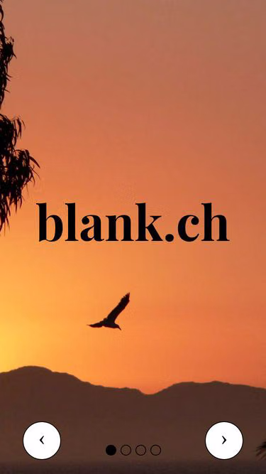 Screenshot of blank.ch