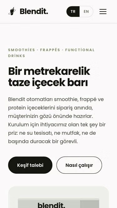 Screenshot of blendit.com.tr