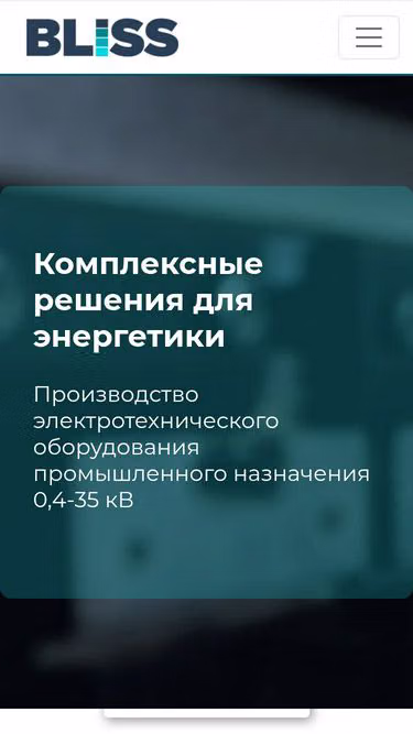 Screenshot of bliss.ru