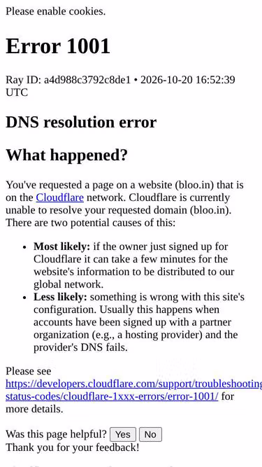 Screenshot of bloo.in