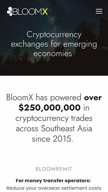 Screenshot of bloom.solutions