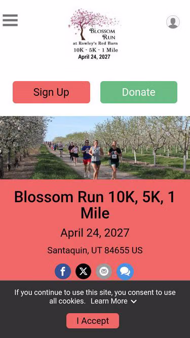 Screenshot of blossom.run