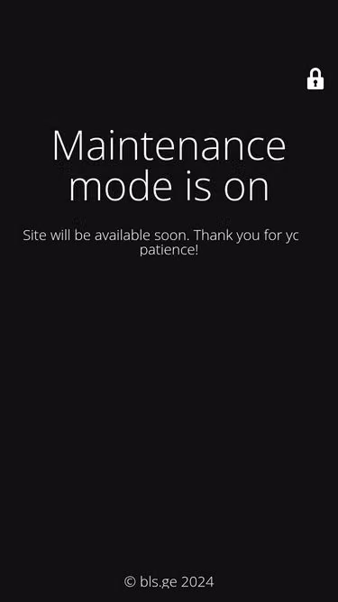 Screenshot of bls.ge