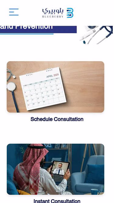 Screenshot of blueberry.com.sa
