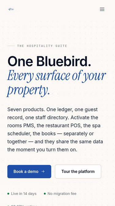 Screenshot of bluebird.africa