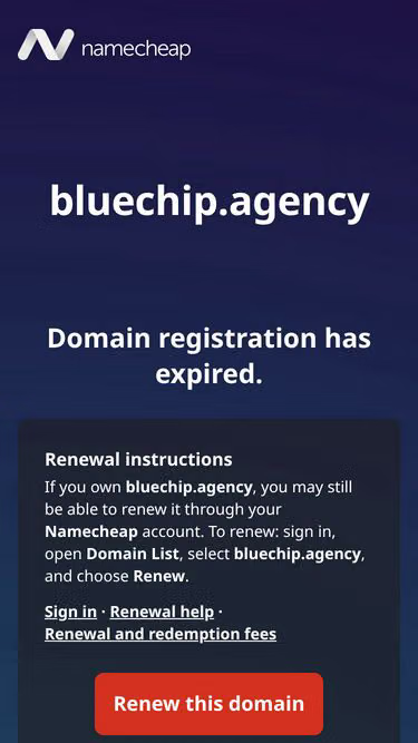 Screenshot of bluechip.agency