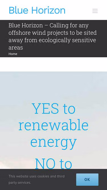 Screenshot of bluehorizon.ie