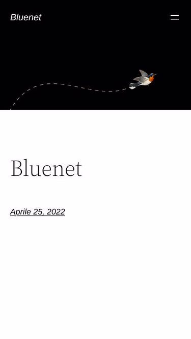 Screenshot of bluenet.it