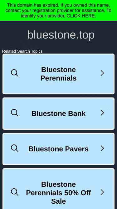 Screenshot of bluestone.top