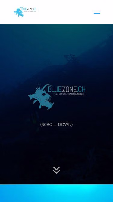 Screenshot of bluezone.ch