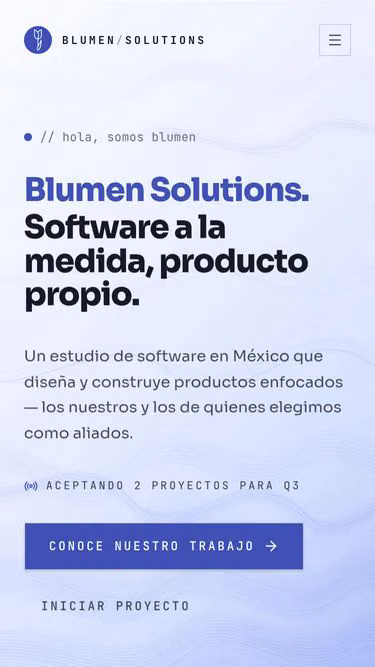 Screenshot of blumen.solutions