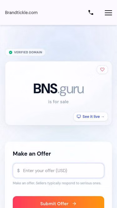 Screenshot of bns.guru