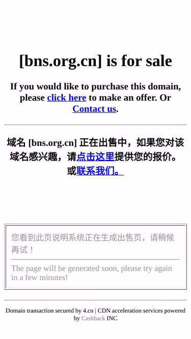 Screenshot of bns.org.cn