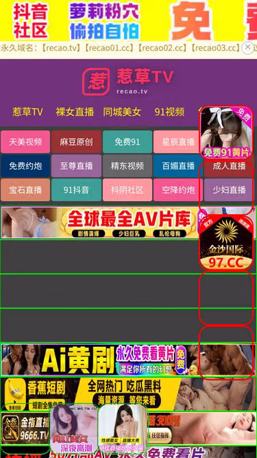 Screenshot of bobi.icu