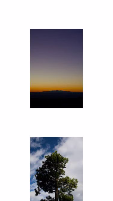 Screenshot of bog.pics