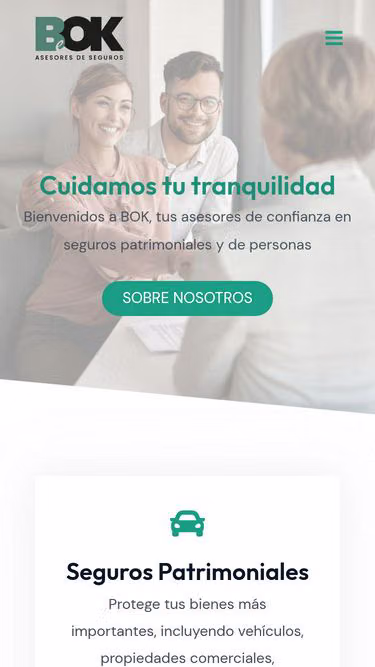 Screenshot of bok.com.ar