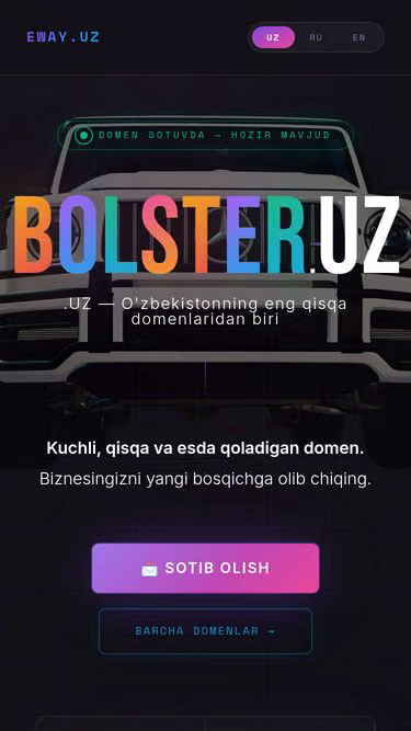 Screenshot of bolster.uz
