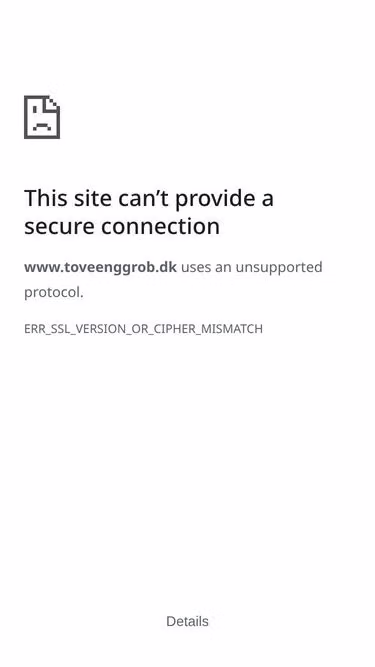 Screenshot of boon.dk