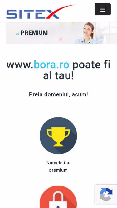 Screenshot of bora.ro