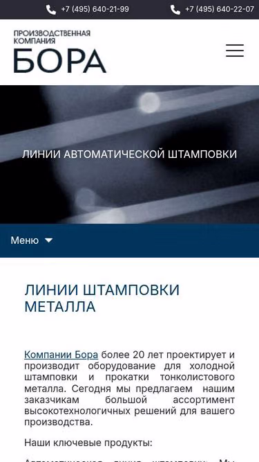 Screenshot of bora.su