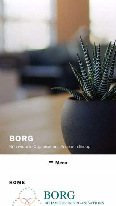 Screenshot of borg.ie