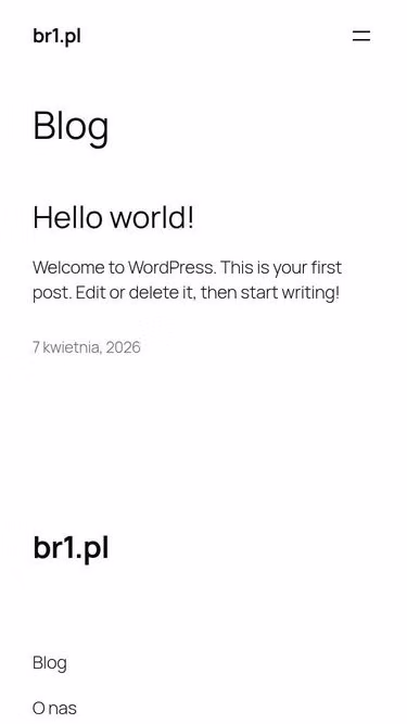 Screenshot of br1.pl
