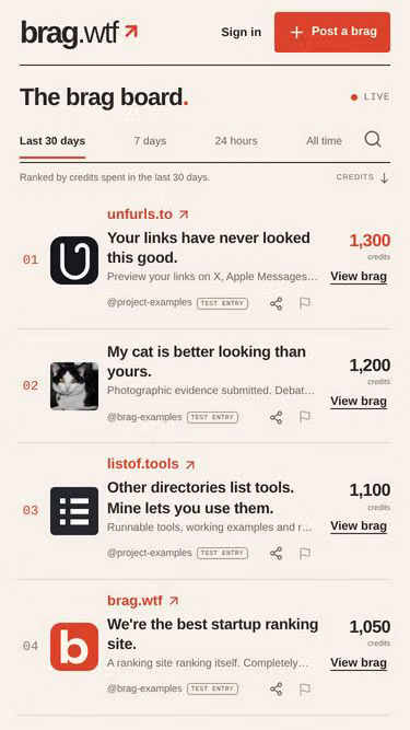 Screenshot of brag.wtf