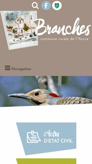 Screenshot of branches.fr