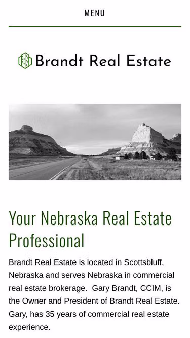 Screenshot of brandt.realtor