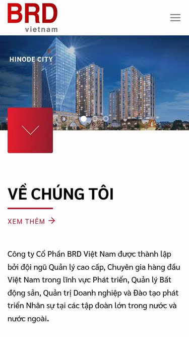 Screenshot of brd.com.vn