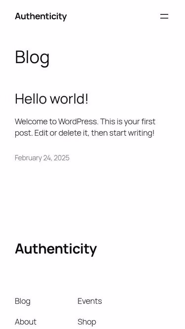 Screenshot of brian.co.zw