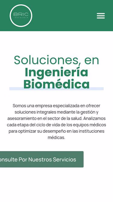 Screenshot of bric.com.uy