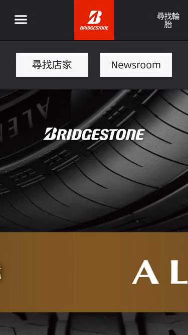 Screenshot of bridgestone.com.tw